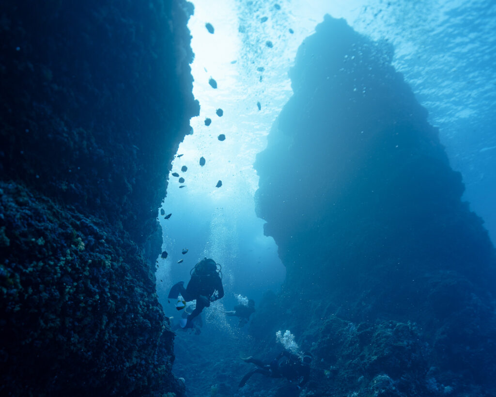 Okinawa diving in Cape Hedo
