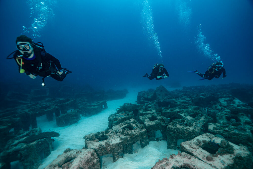 okinawa diving in Ie island