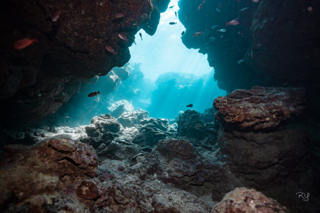 okinawa diving in Sesoko island