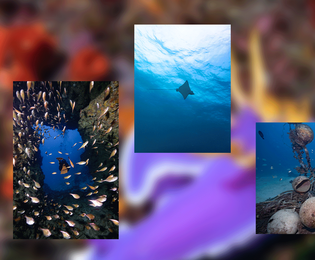 Okinawa scuba diving in Manza