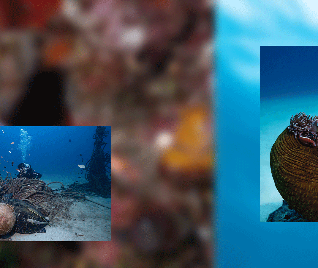 Okinawa scuba diving in Manza