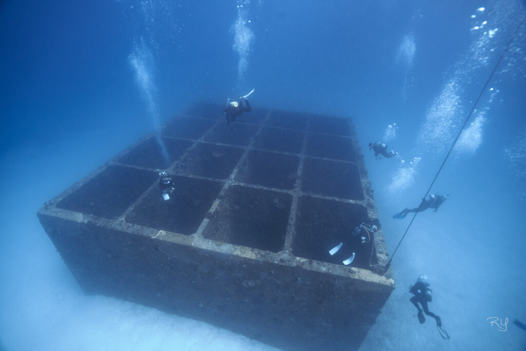 Okinawa diving in Ie Island