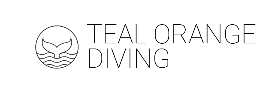 TEAL ORANGE DIVING (TOD) - Okinawa,JAPAN