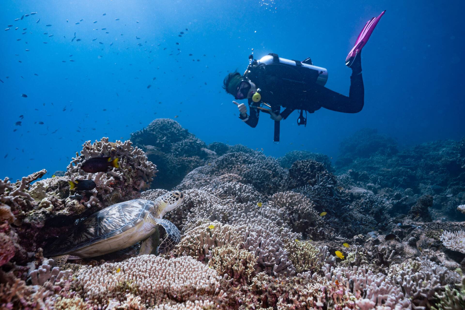 Okinawa scuba diving in Minna / Sesoko Island